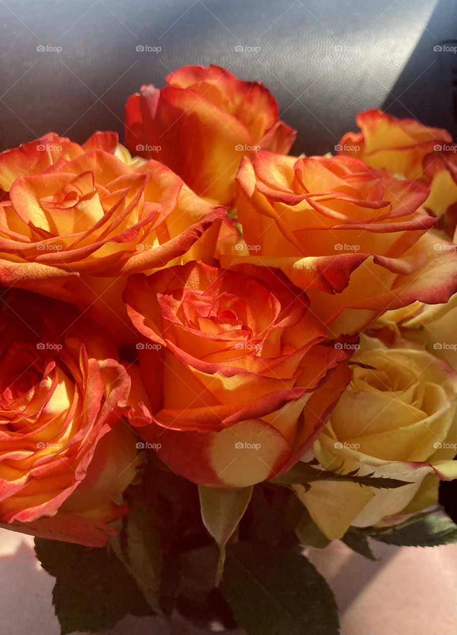 Barbie style photography 