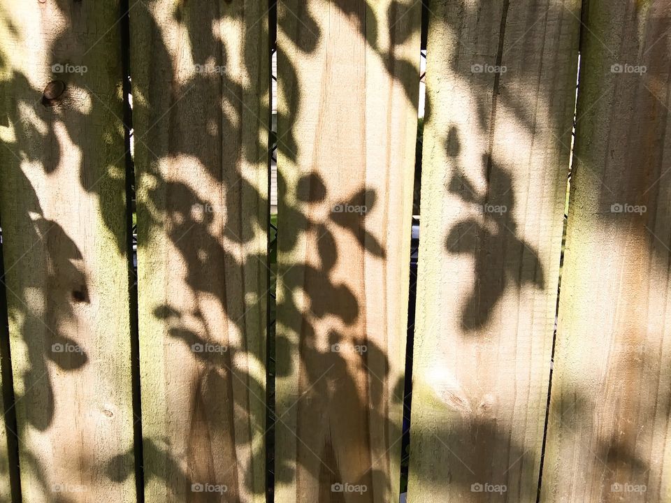 shadows on a fence