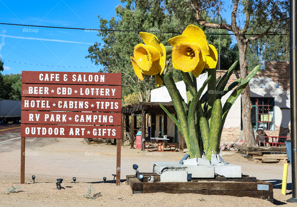 Pointer end BIG flowers 