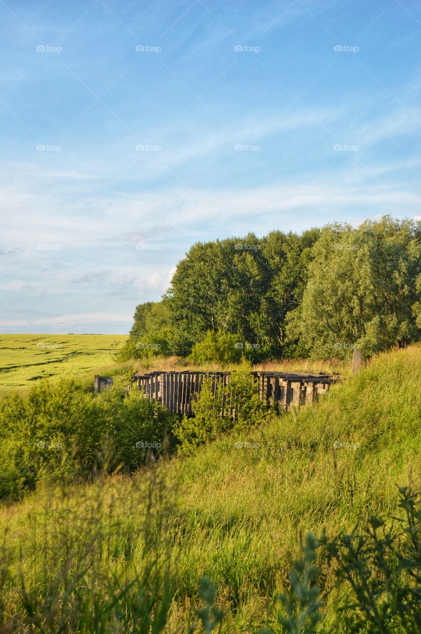 The ancient bridge covered with moss the perfect addition to any rural or river landscape 