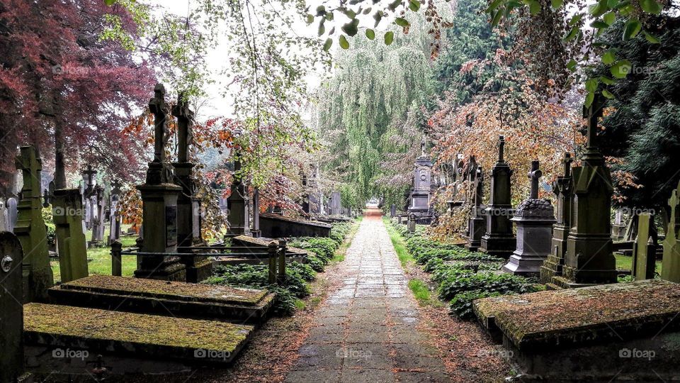 An old part of the communal cemetery of Bruges, Belgium.  19th century graves and tombstones under trees.