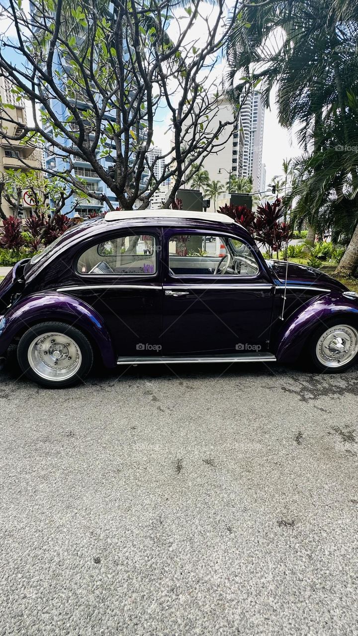 VW Bug