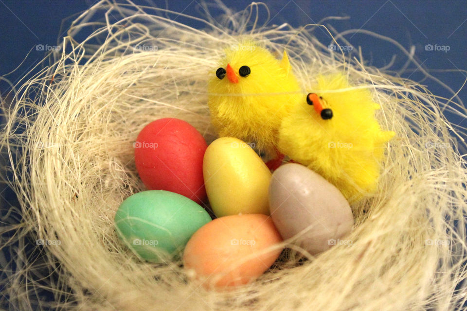 Happy Easter to everyone who celebrates