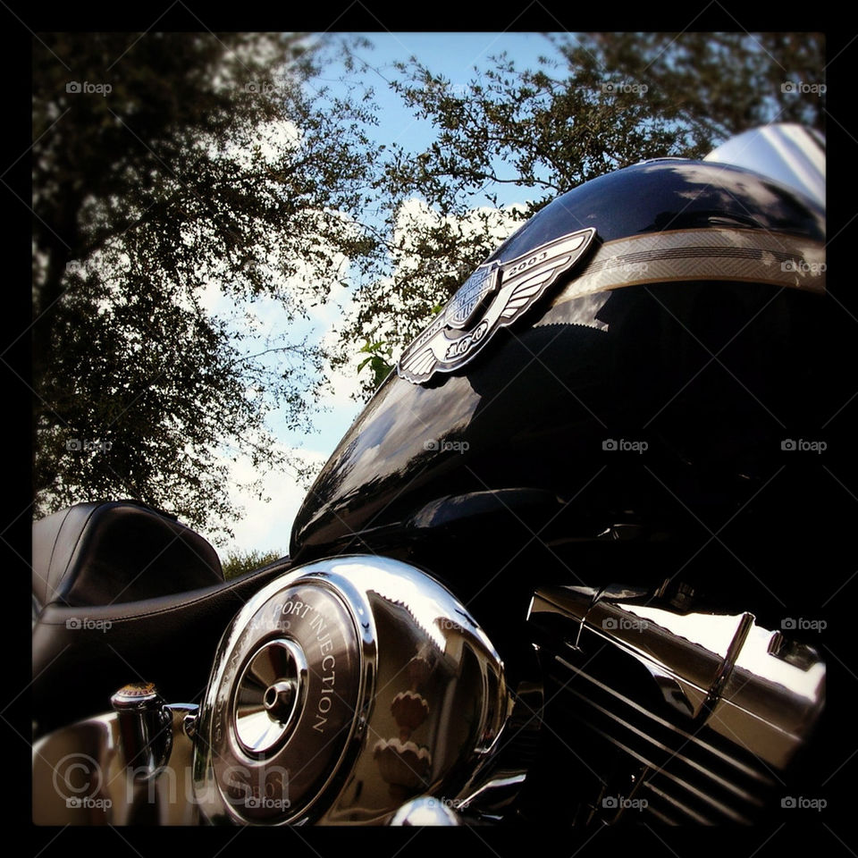 motorcycle harley fatboy south florida by mushjet