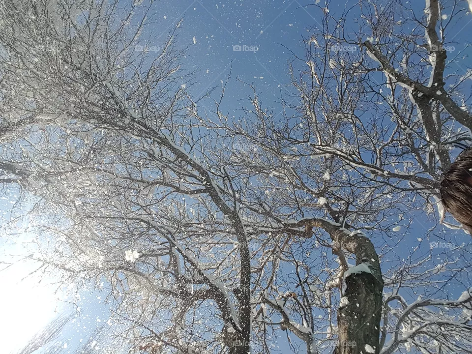 snow