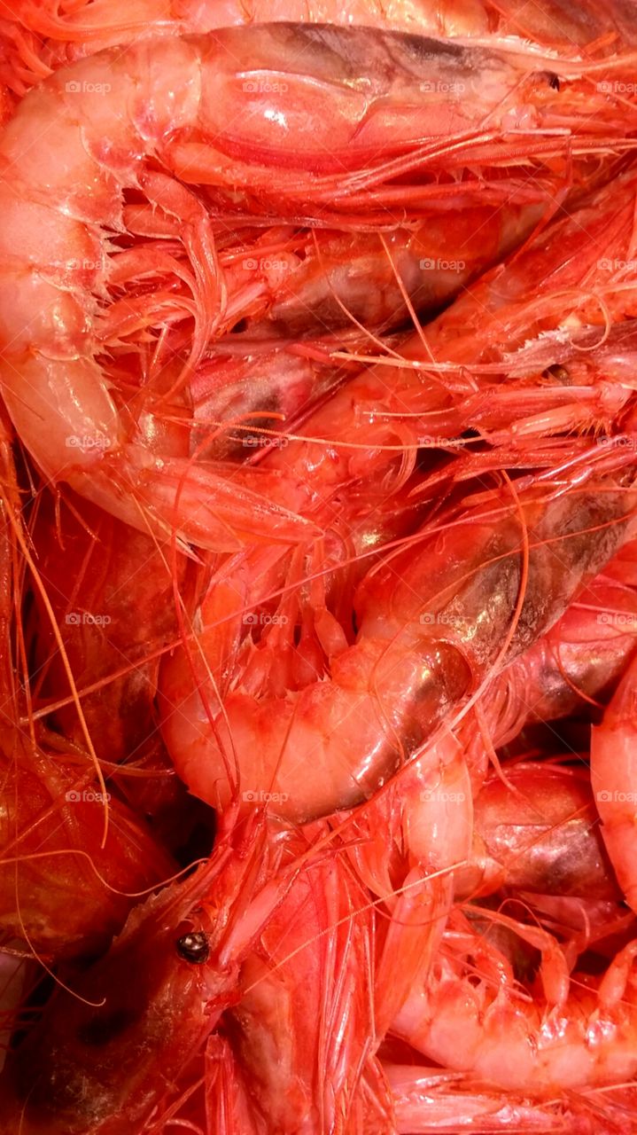 Shrimps for sale