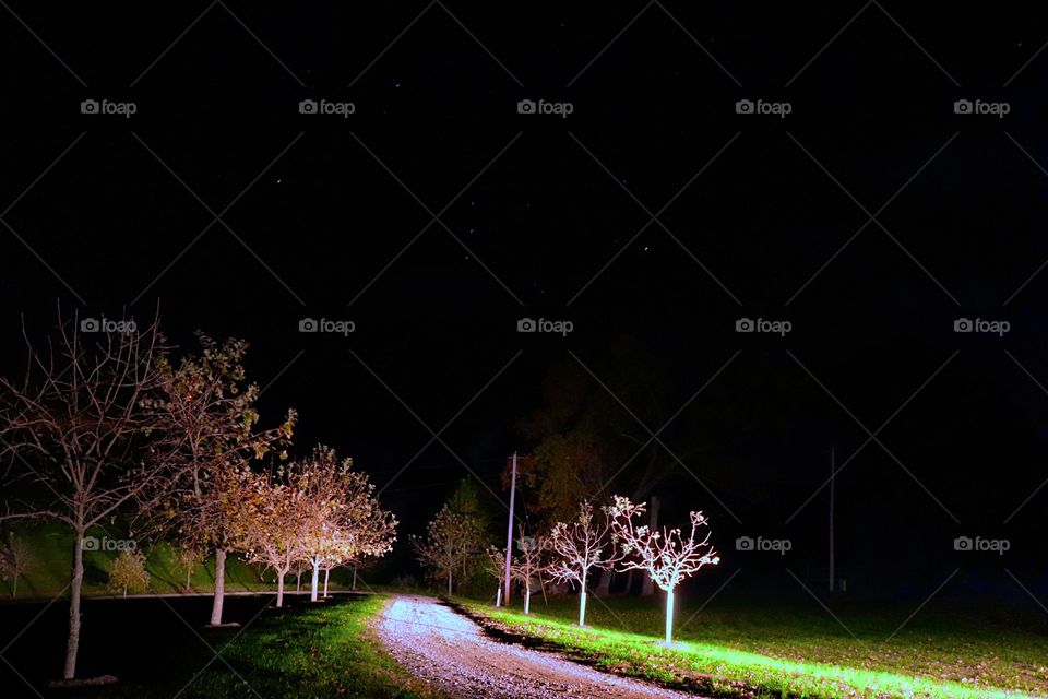 I’m working to master the art of night time photos! A lot harder then I thought! 😂