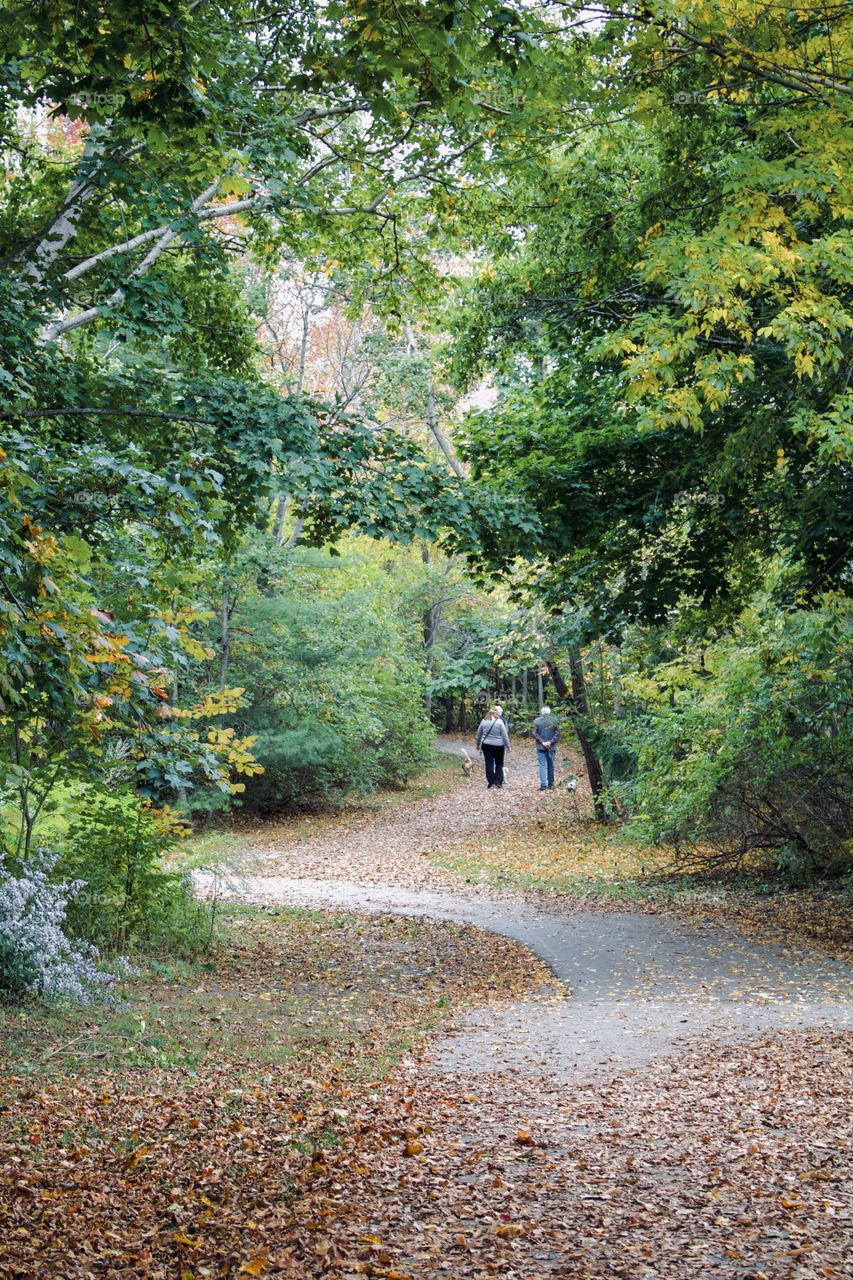 A walk on an autumn day