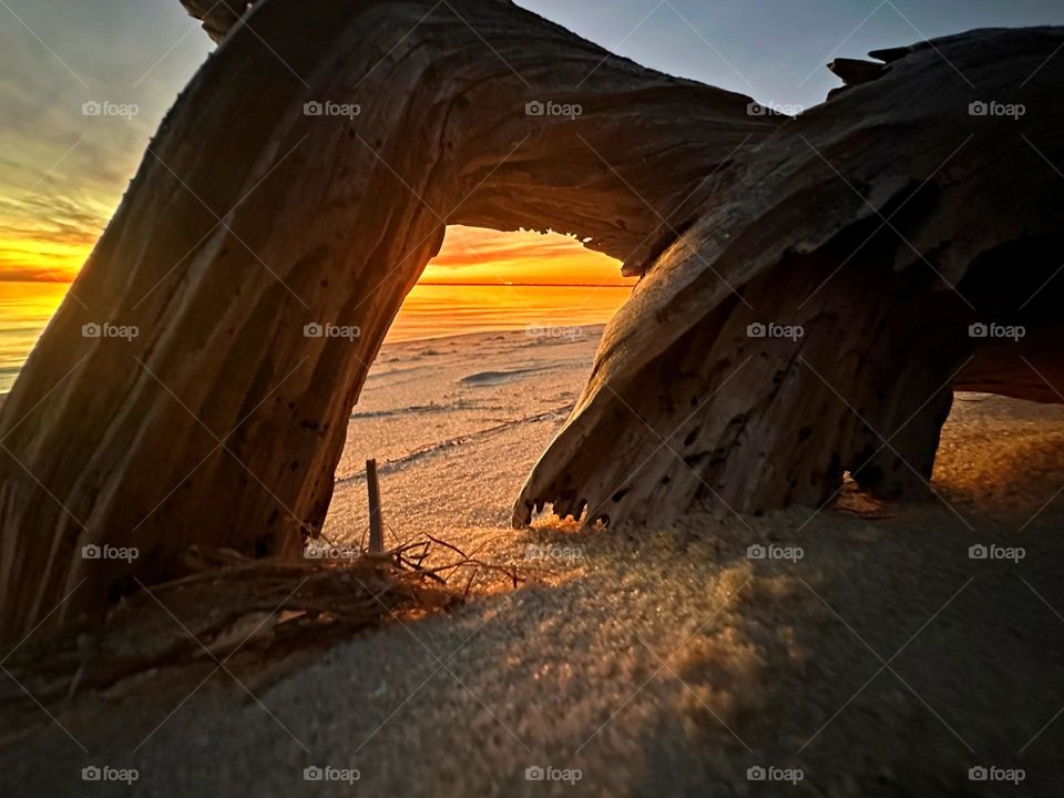 A magnificent descending sunset between a petrified driftwood log on the sandy beach, before it retreats into its slumbering place