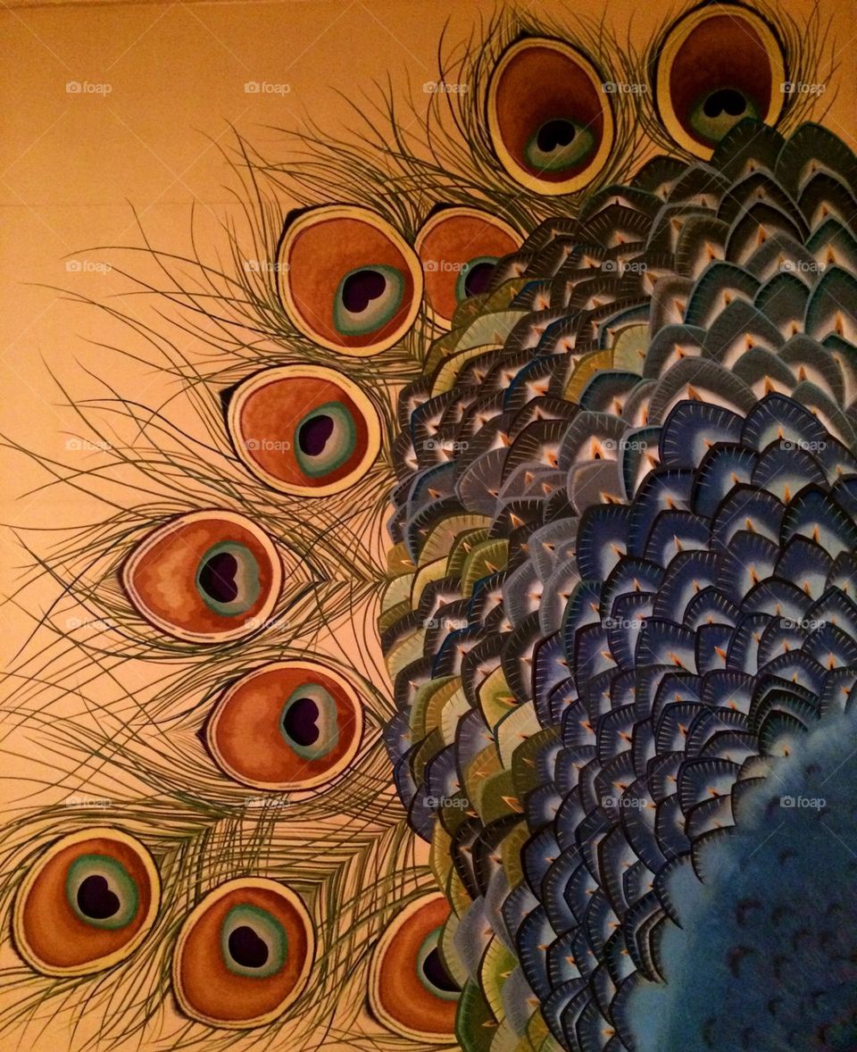 Peacock mural 