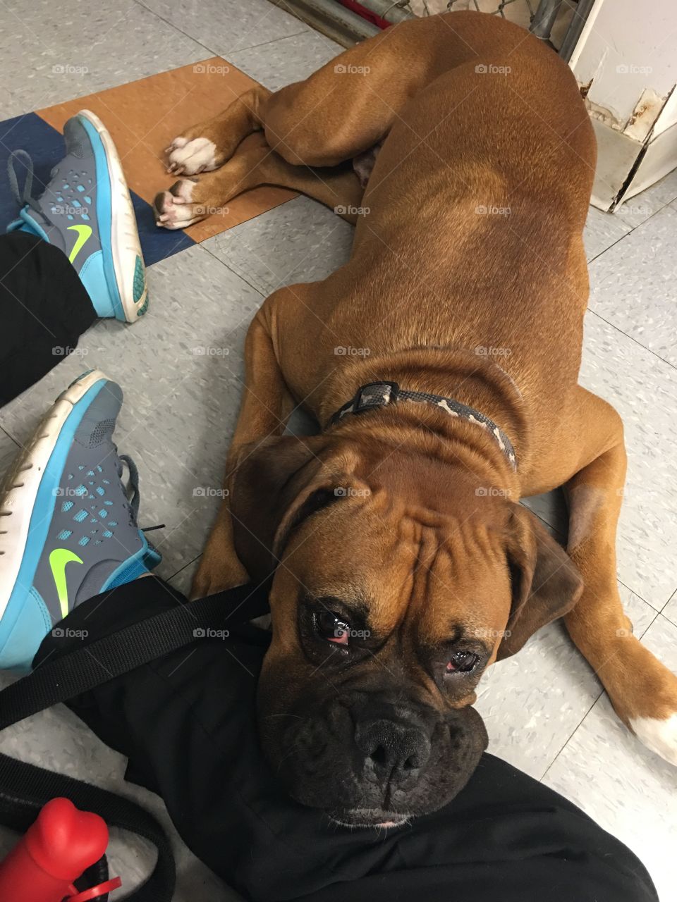 My patients give me the most pathetic looks. 