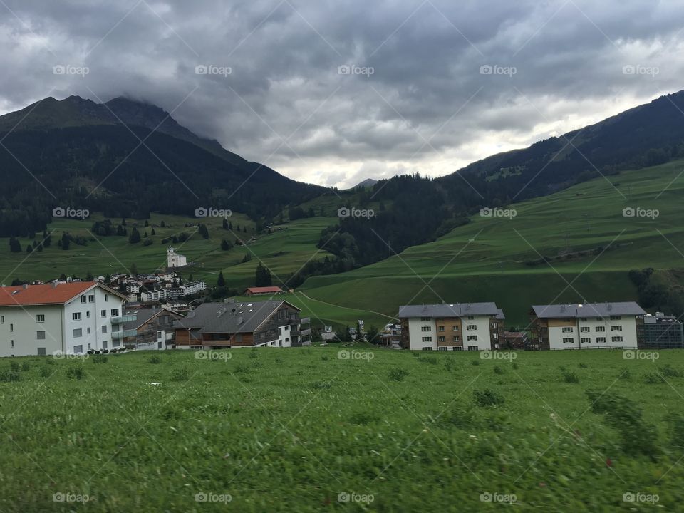 Switzerland fields