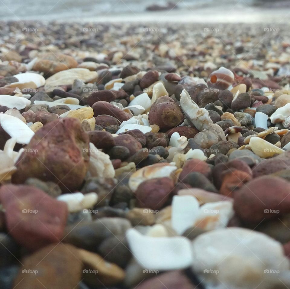 Rocks n shells
