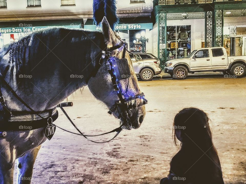 Young girl looking at white horse