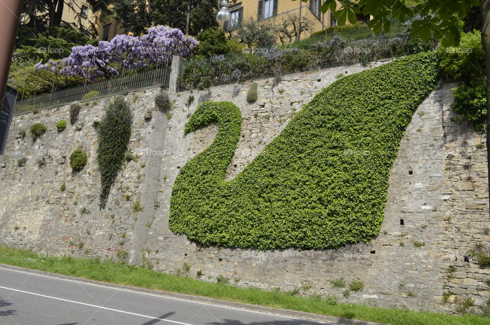 Garden, No Person, Summer, Travel, Hedge