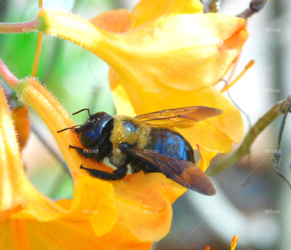 Beautiful macro shots 