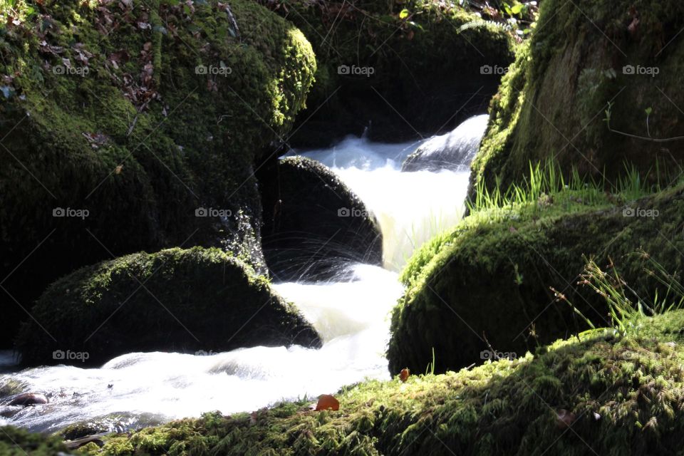 lit up River Bovey