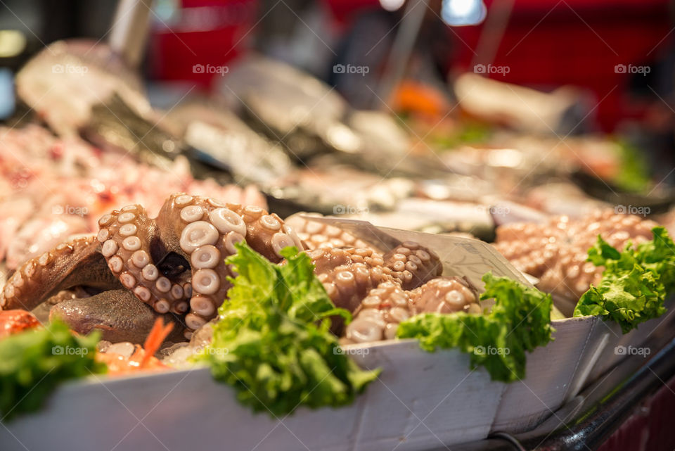 Fresh octopus