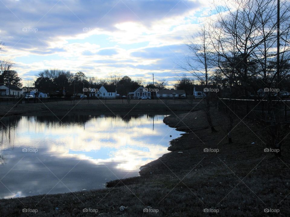 pond