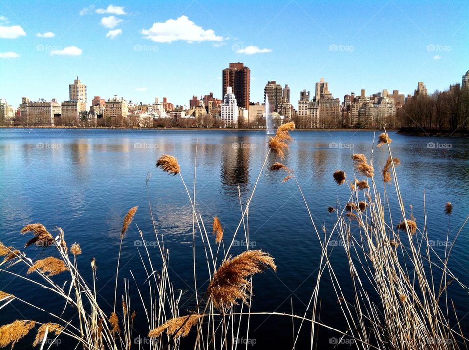 Central Park Beauty