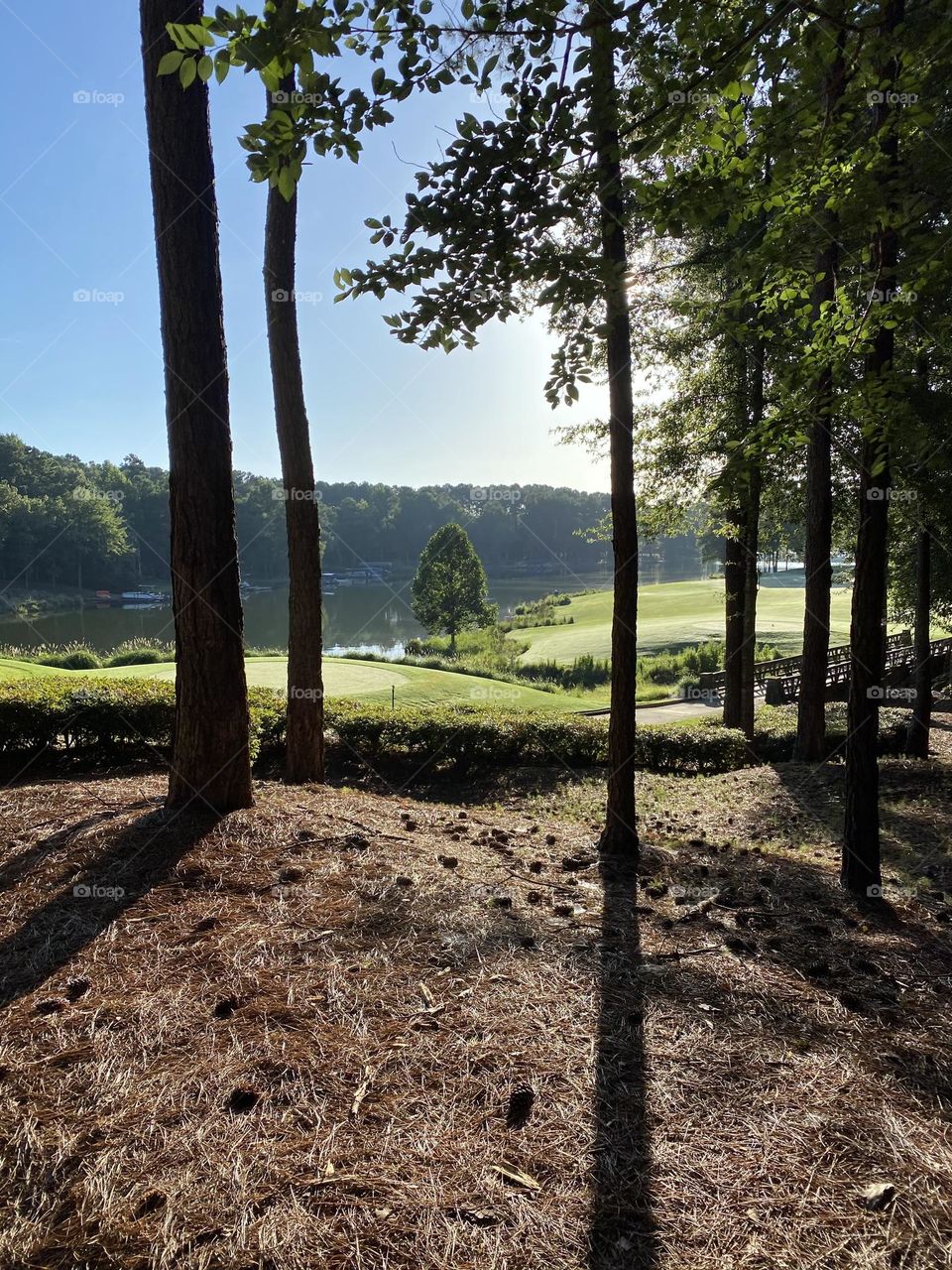 Golf course in Lake Oconee, Georgia - Reynolds Plantation 