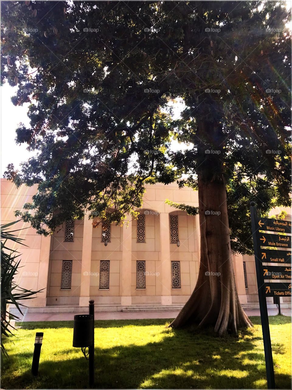The Cairo Opera House, Zamalik, Cairo, Egypt. Sunrays through tree branches❤️