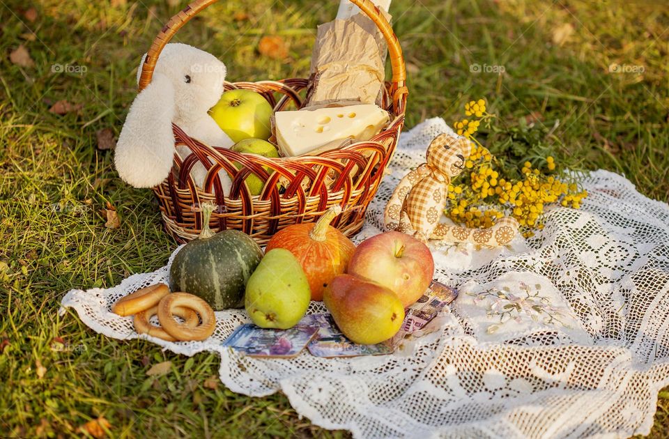Picnic fruit basket, napkin on the grass

￼