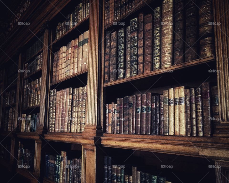 Vintage Library of Books (Lyme Hall)