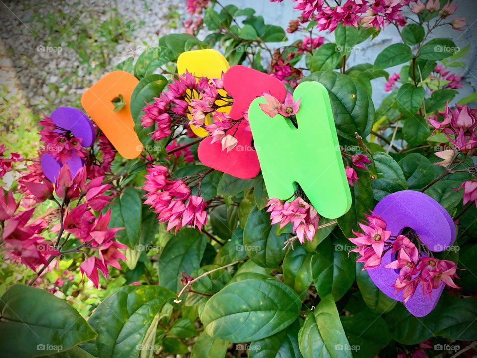 Spring Letterings With Flowers Through It Spring Is Sprung with Plant Of Pink Flowers And Two Tones Of Green Leaves