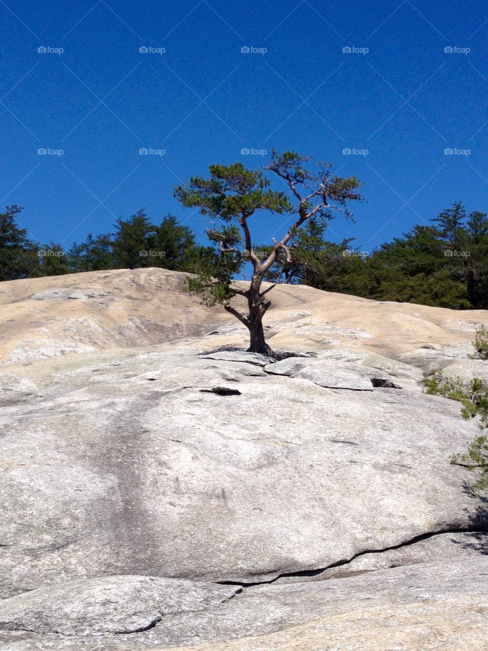 Alone but not forgotten . Hike up Stone Mountain, NC