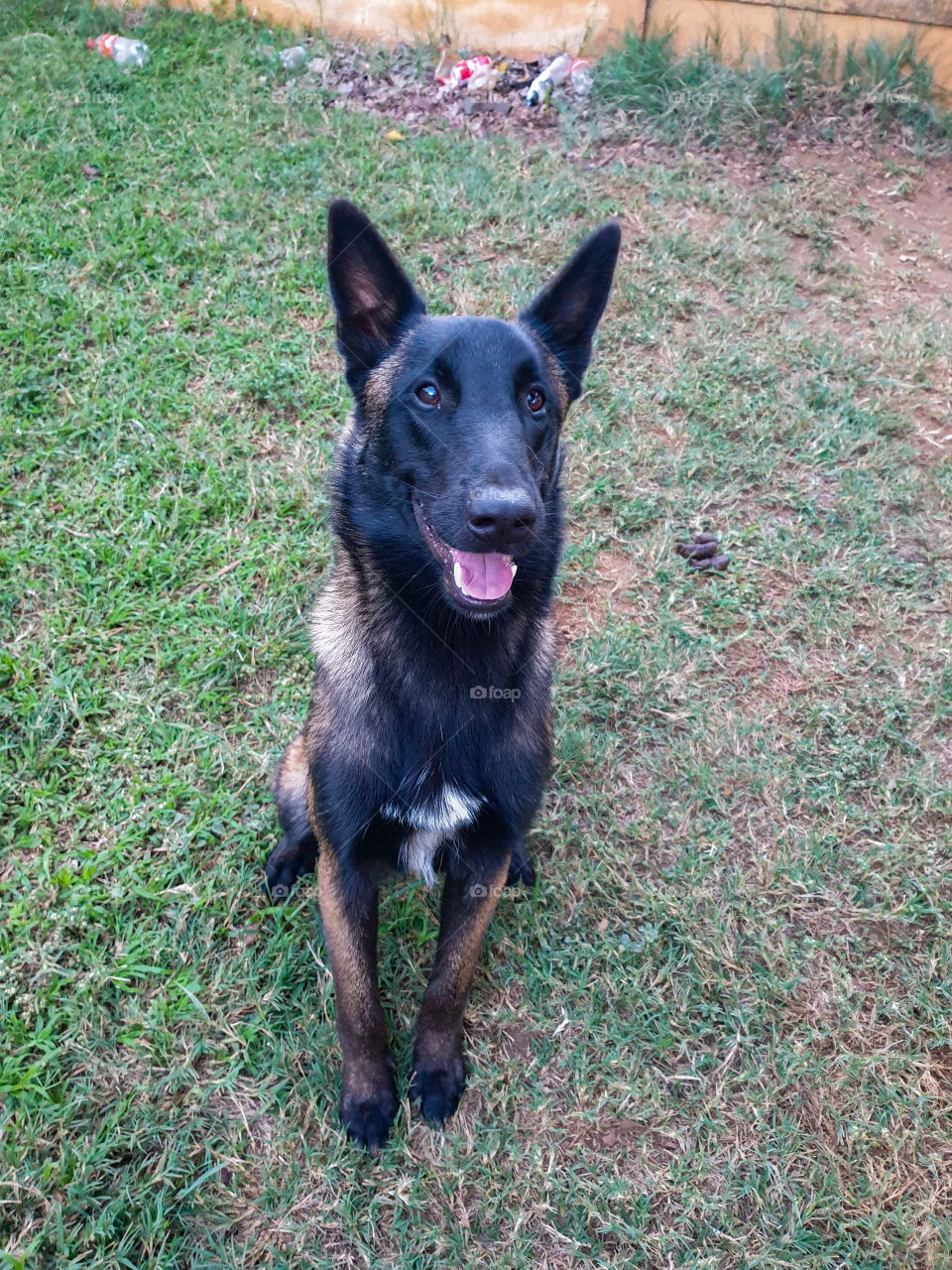 my best friend Dixon