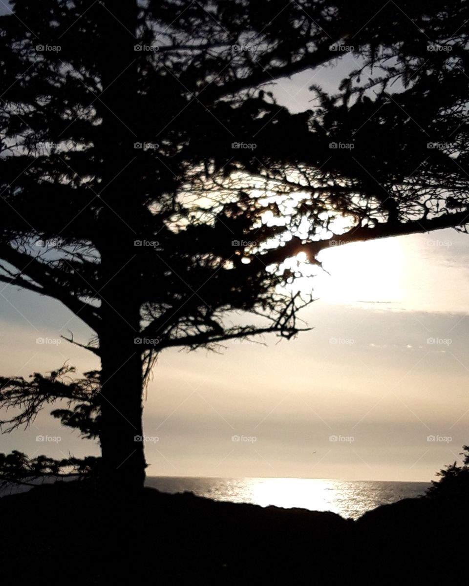 sunset in vancouver island