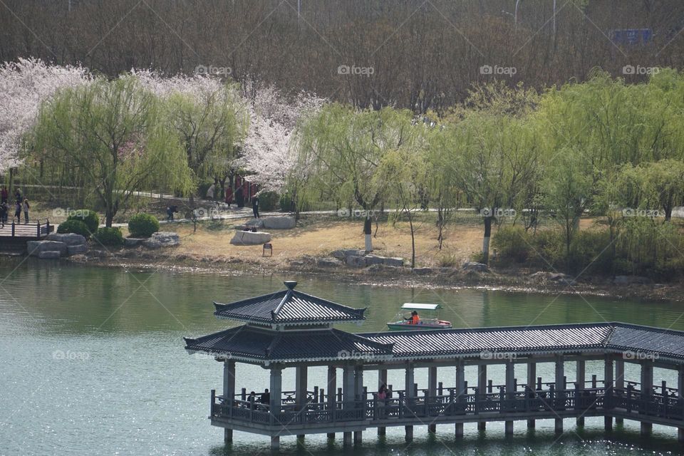 The long corridor in the lake