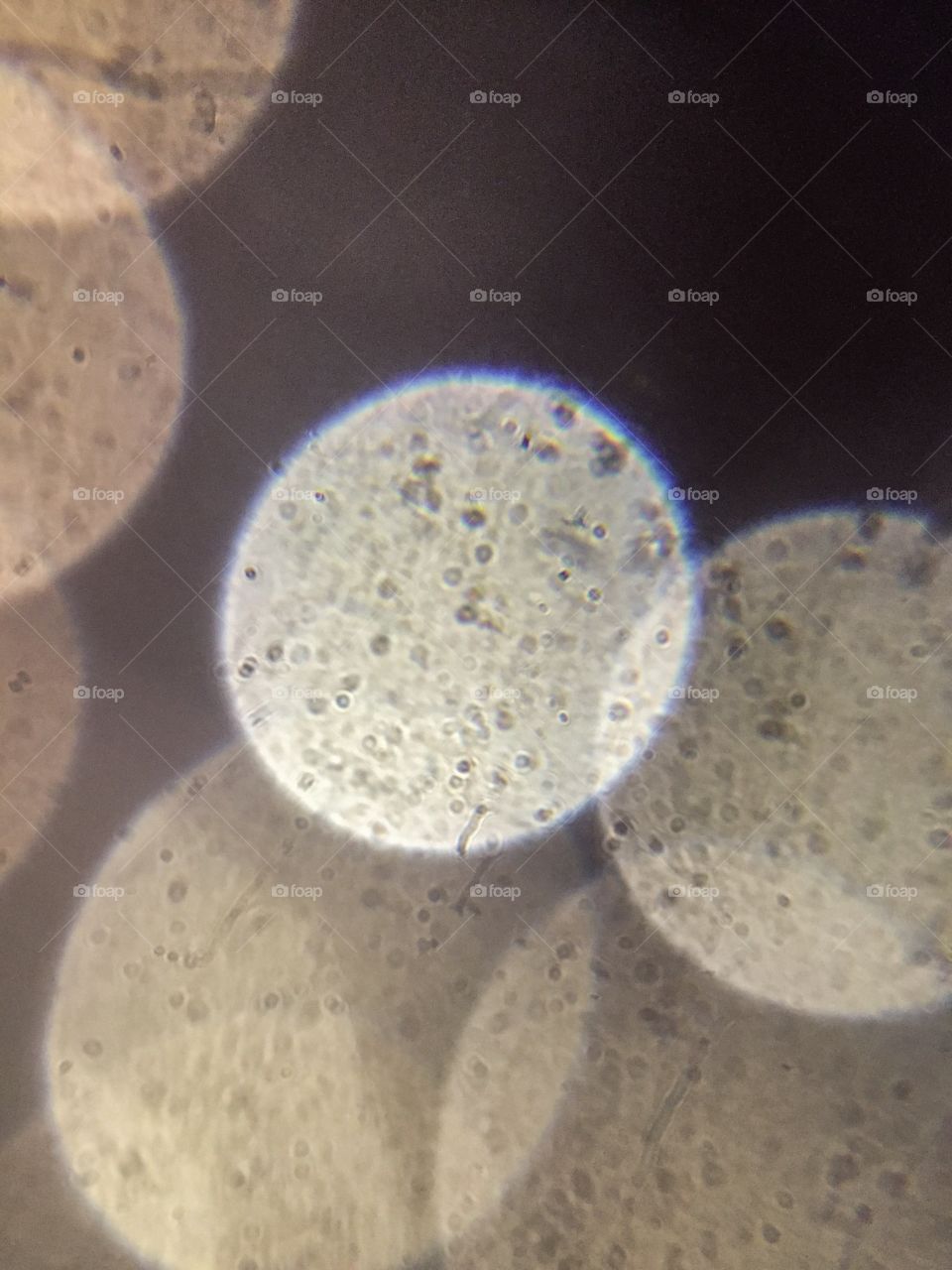 Beautiful boken and micro scope of dust on plastic plate
