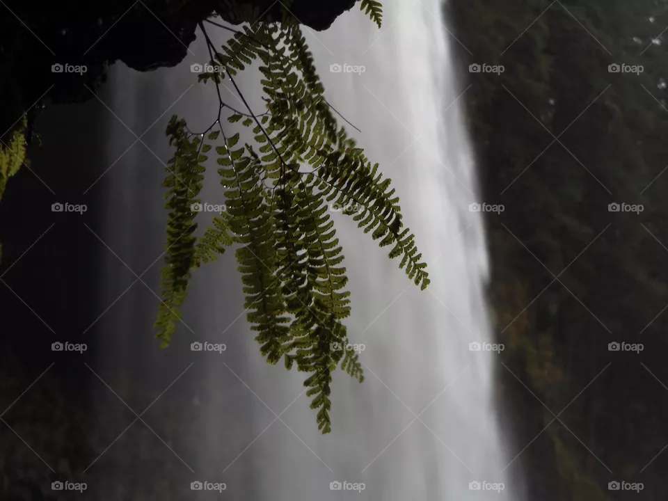 Waterfall 