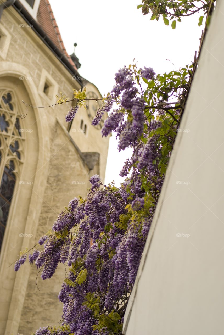 Religion and Spring