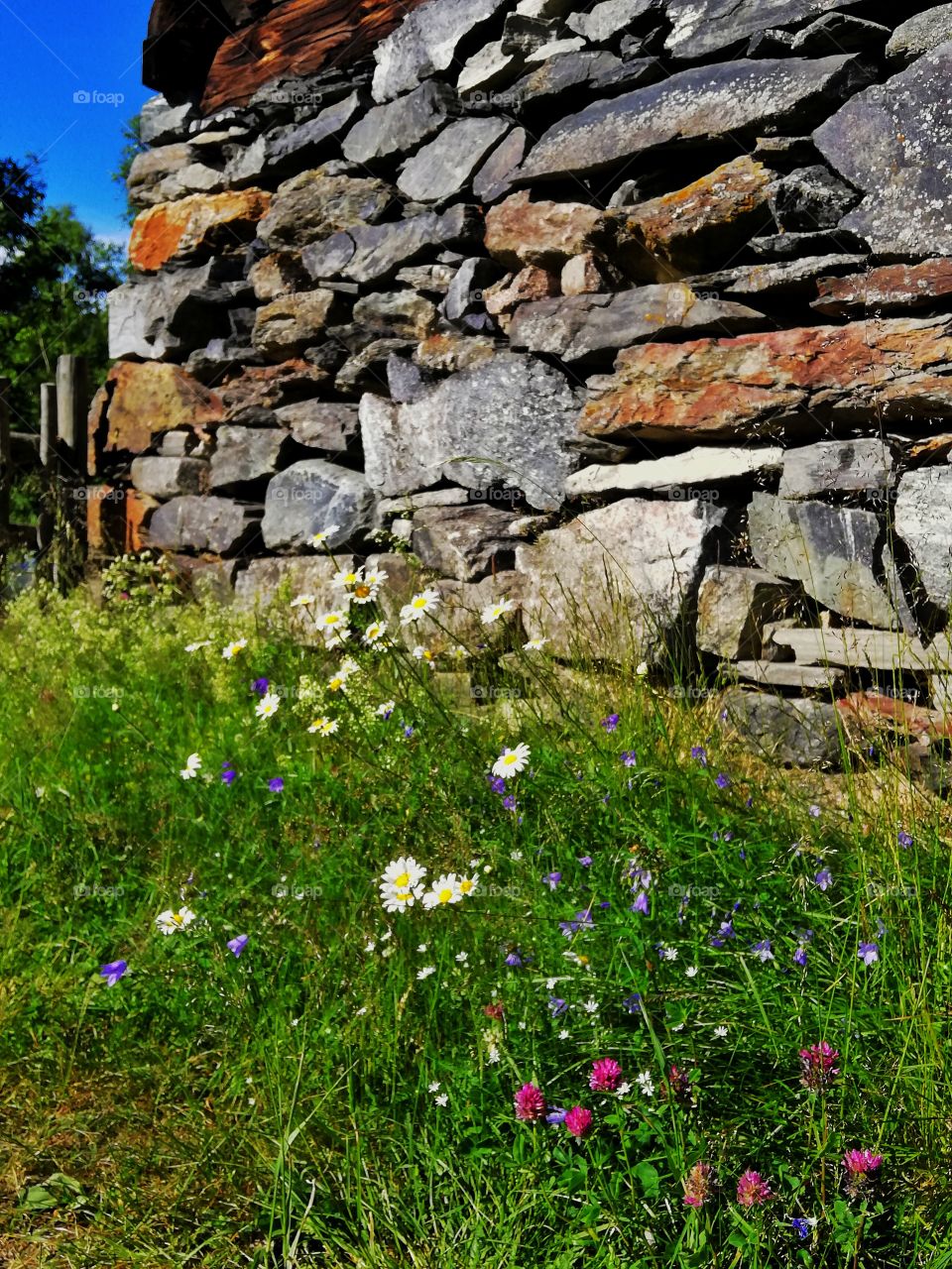 Summer in norway