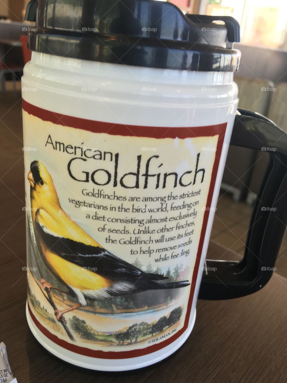 A drink cup for the hubbies daily water intake American Goldfinch. Big enough for ice and water.