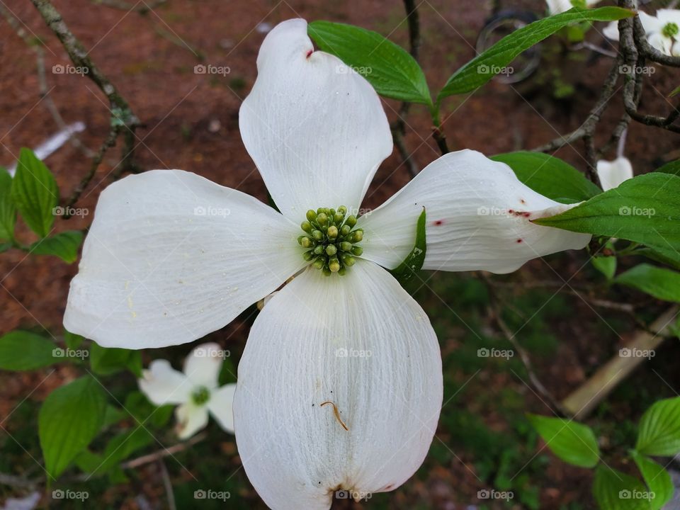 Easter around the corner