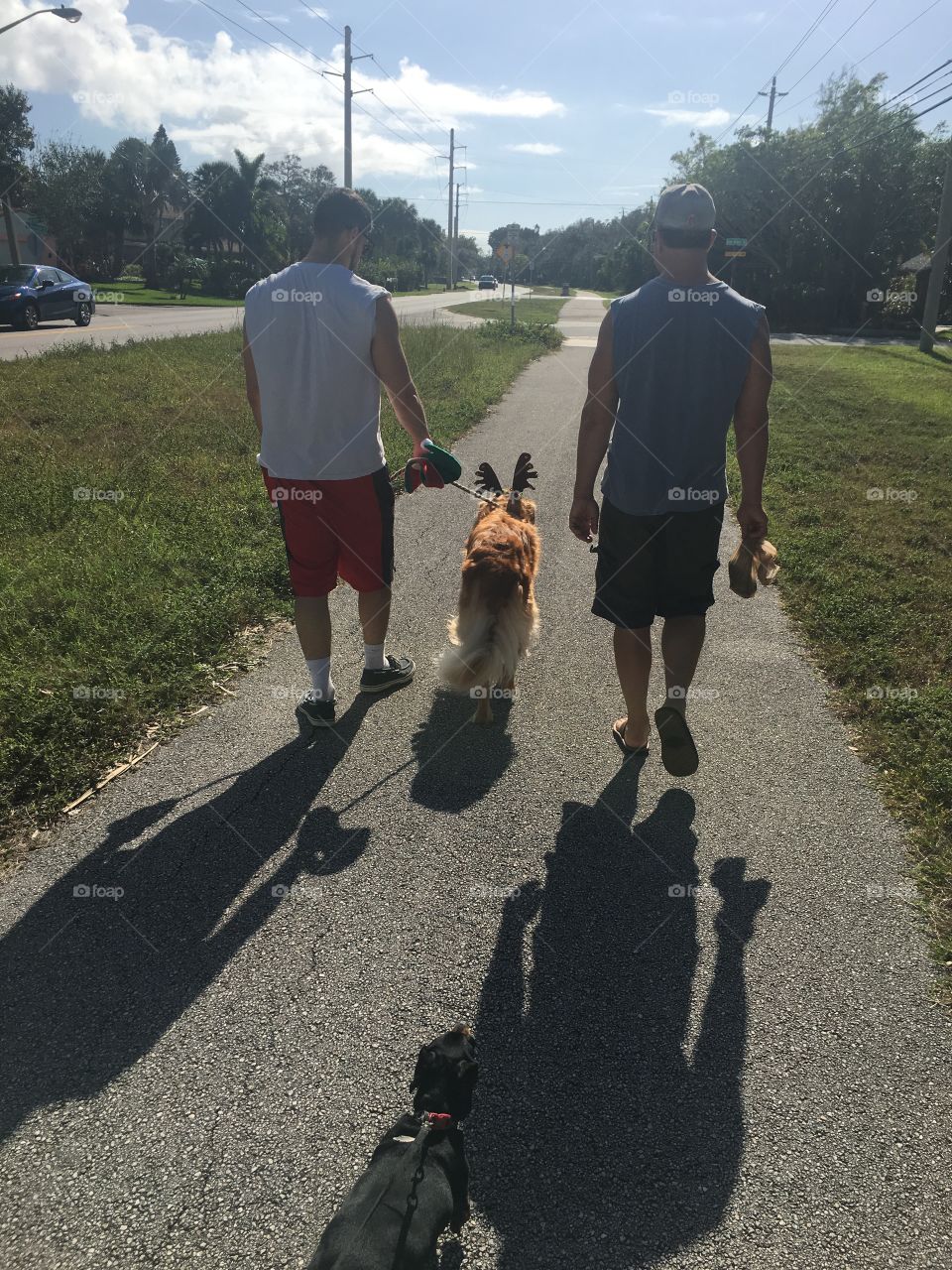 Walking the dog 