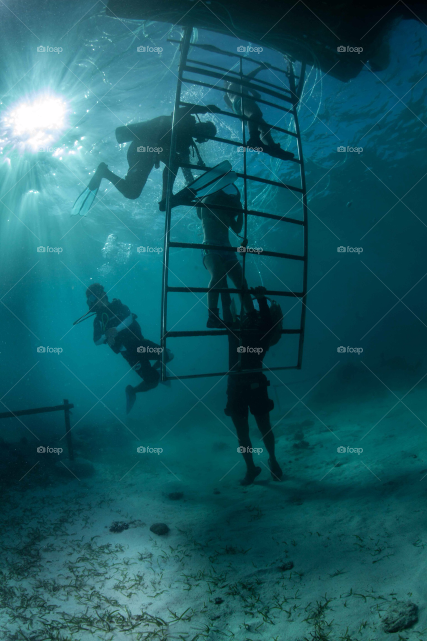 philippines diving cebu underwater by paulcowell
