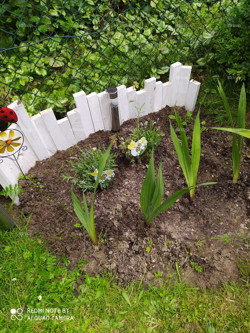 flower bed