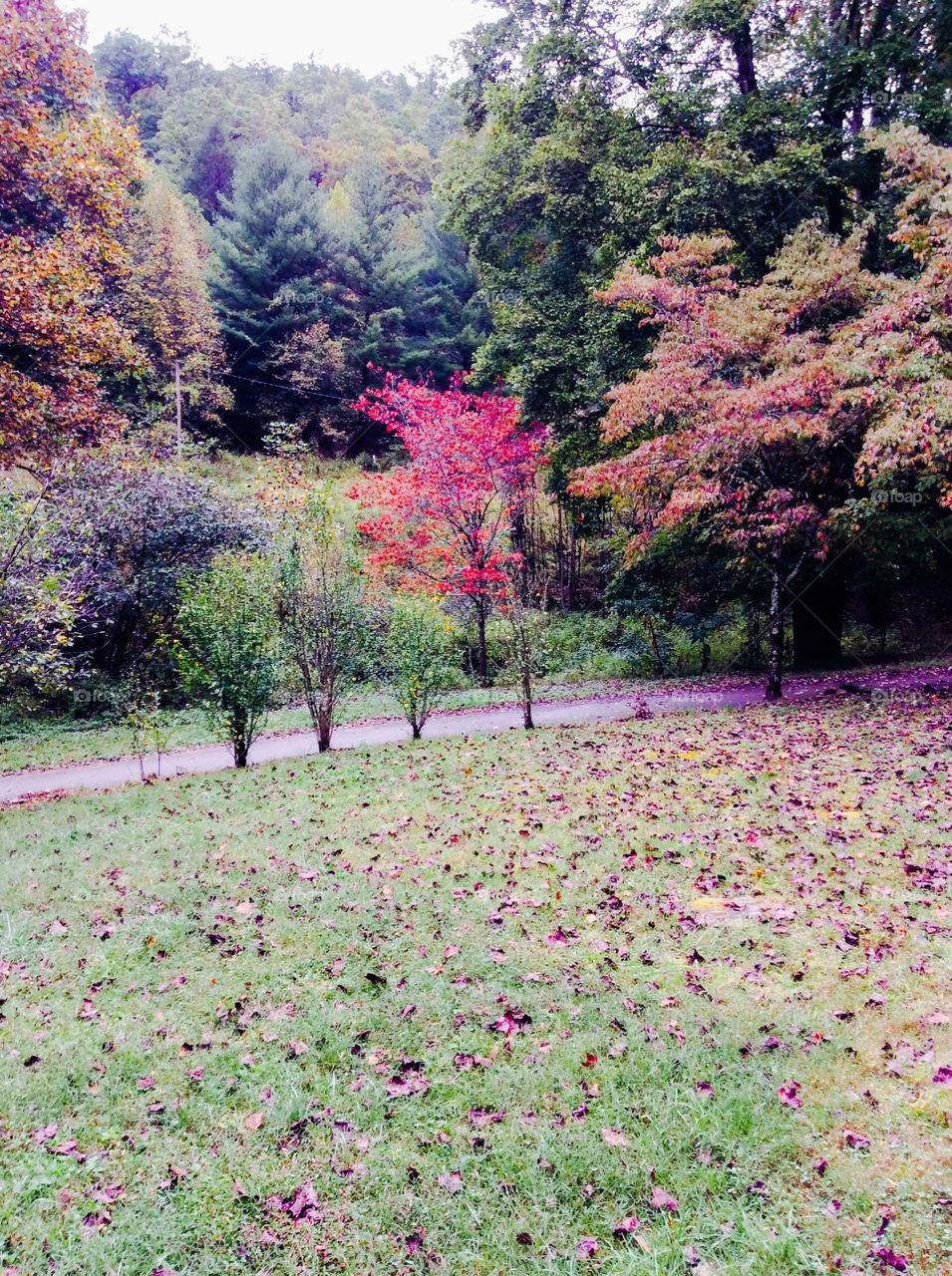 Beautiful fall colors!!!