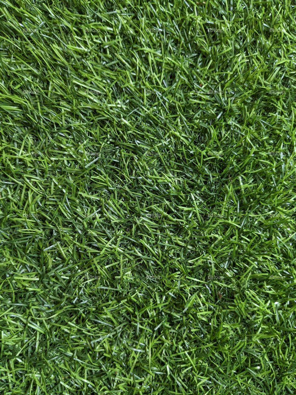 everything stars with green