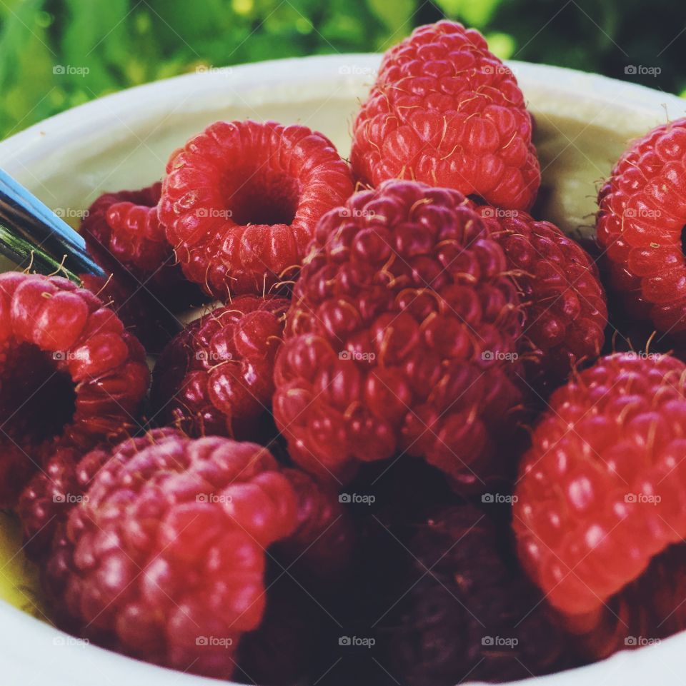 Raspberries ❤️