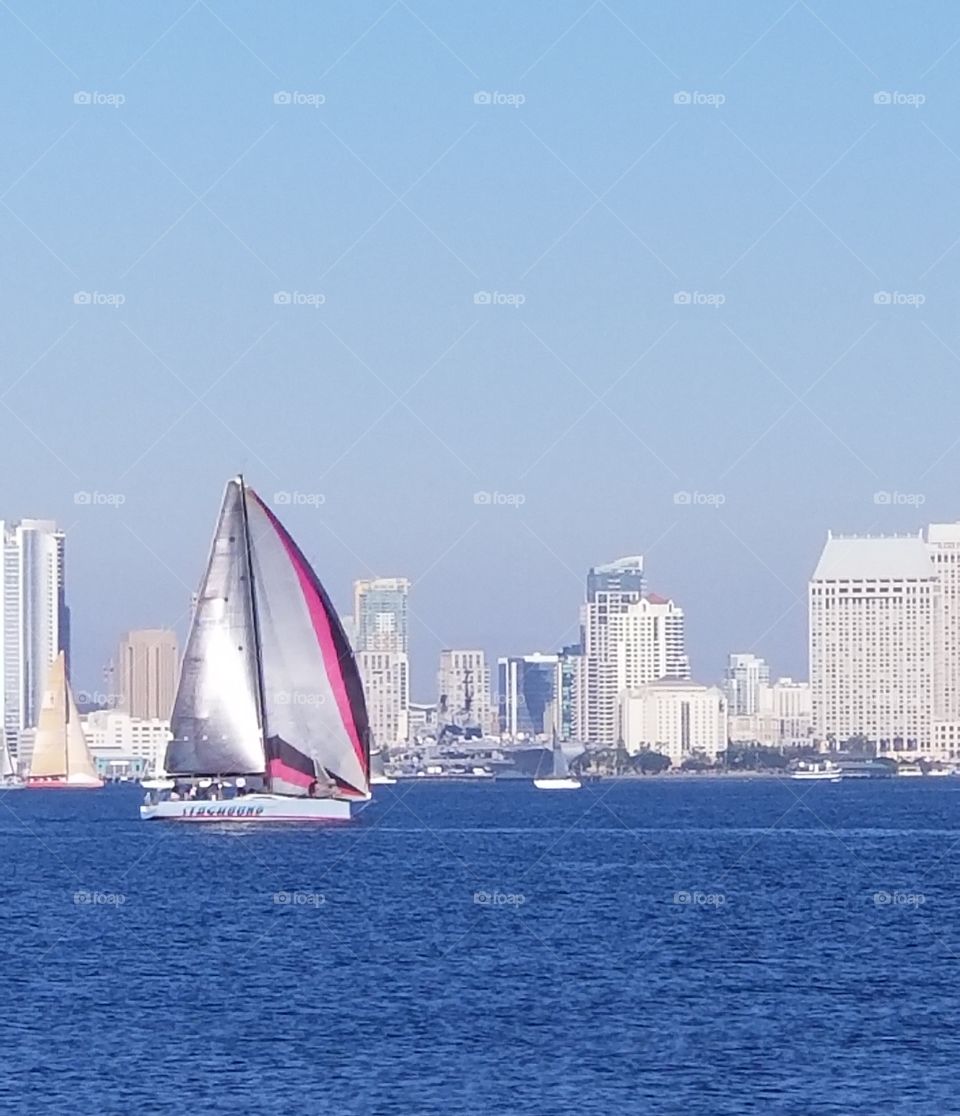 pink sails on the water