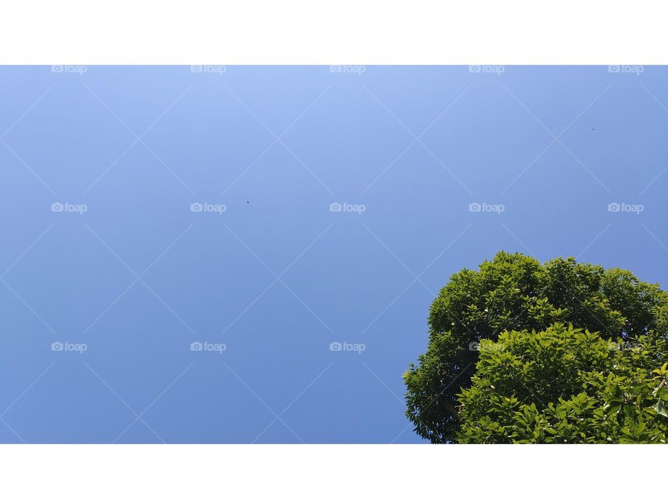 just the clear sky💕👀