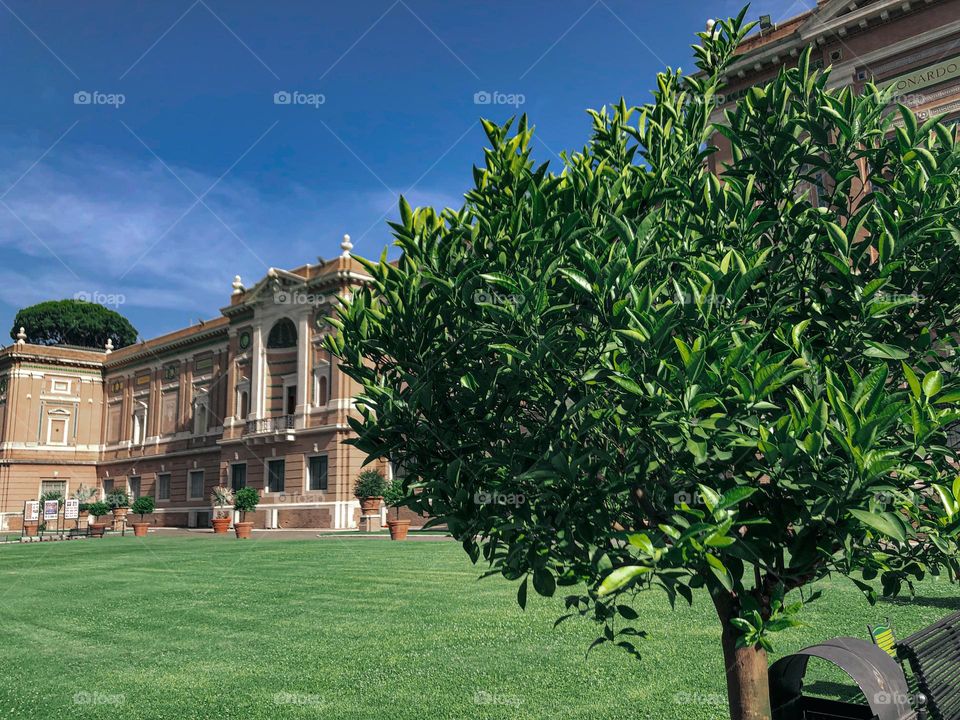 Old beautiful building in Vatican