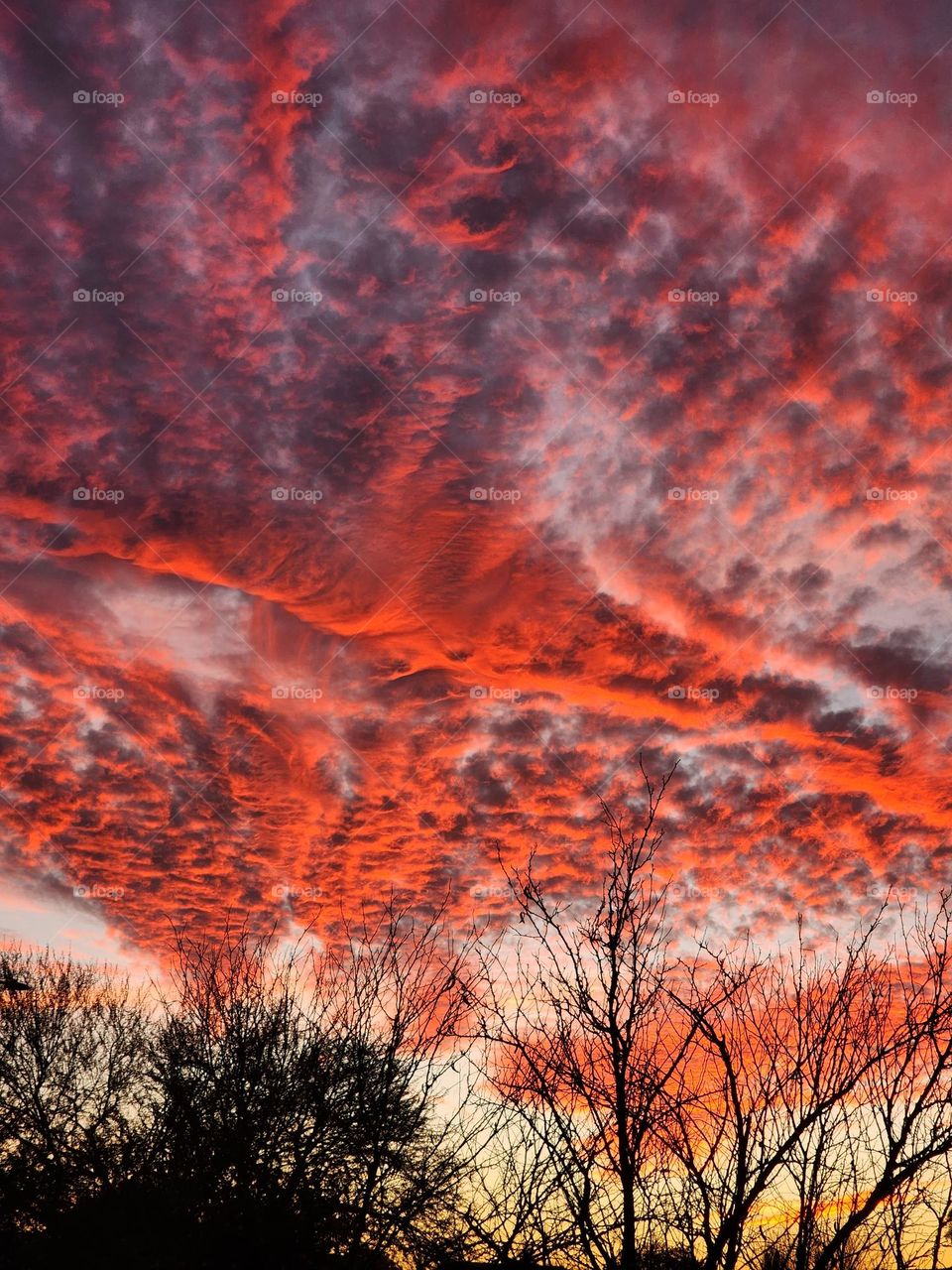 Clouds glow in amazingly vivid hues in the Arizona desert on a cold December evening