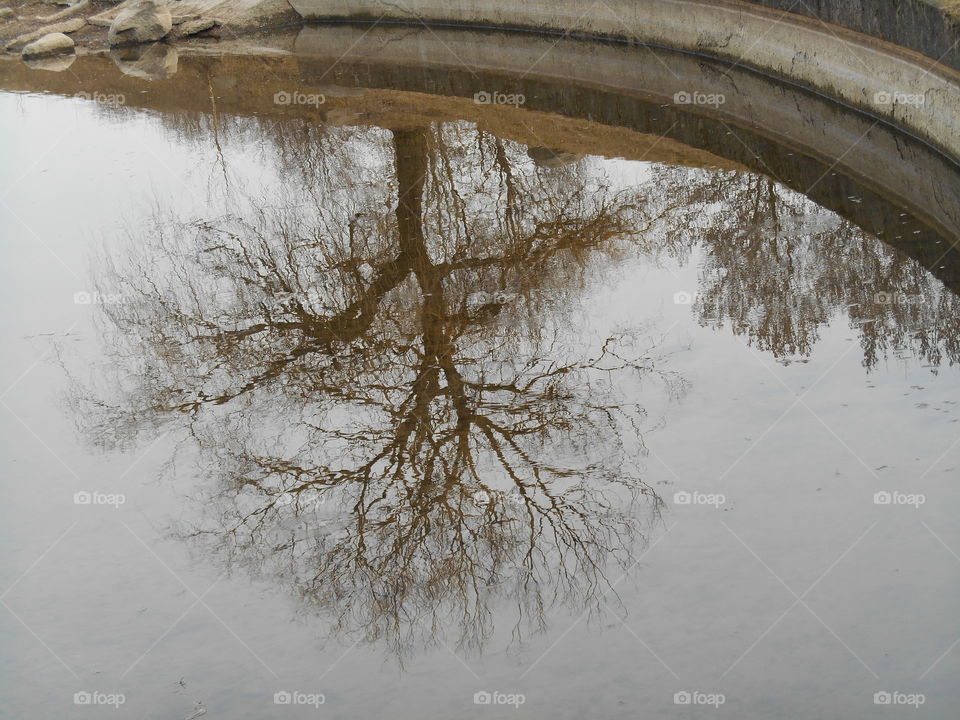 Winter, Water, No Person, Snow, Tree